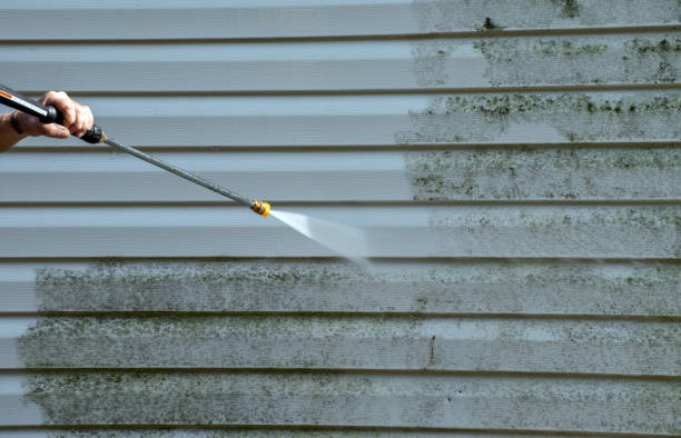 Best Mold Cleaning Services  in Harmony, PA